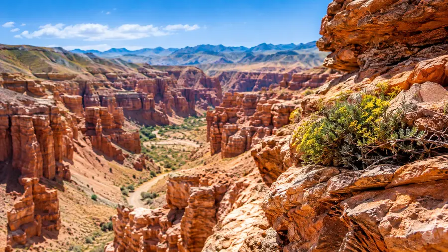 Charyn Canyon Fakten, Geologie und Wildtiere